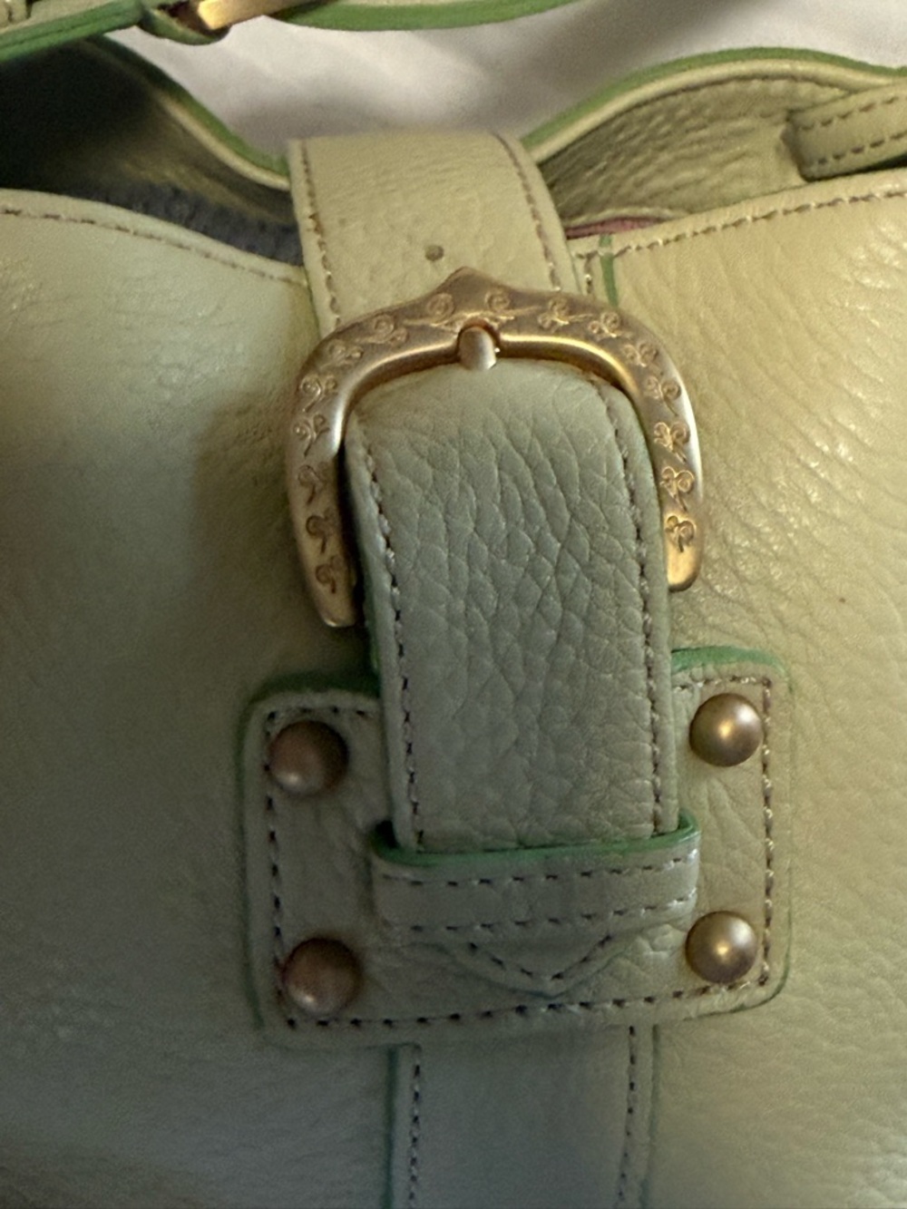 Dooney & Bourke Pale Green Pebbled Leather Shoulder Bag with Gold Hardware - Picture 4 of 5